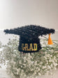 Graduation Cake topper